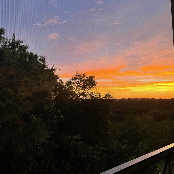 Meet your Posher, Jane - Picture 1 of 2